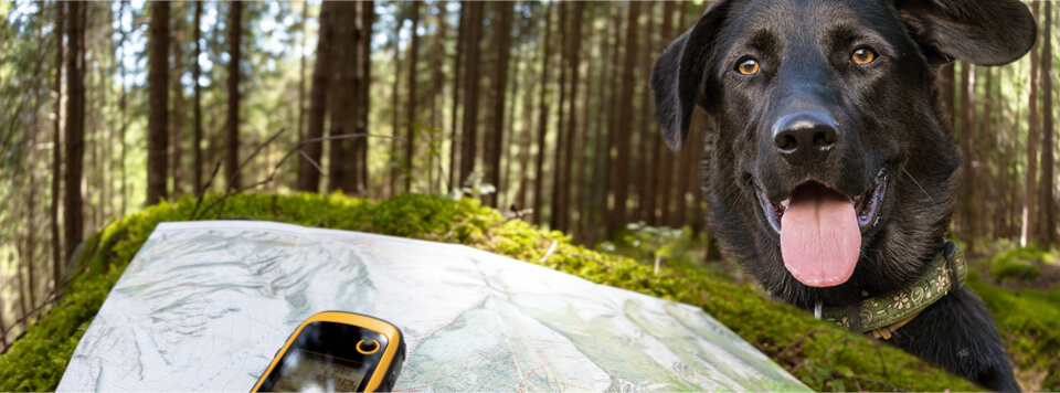 Geocaching mit dem Hund BELCANDO®
