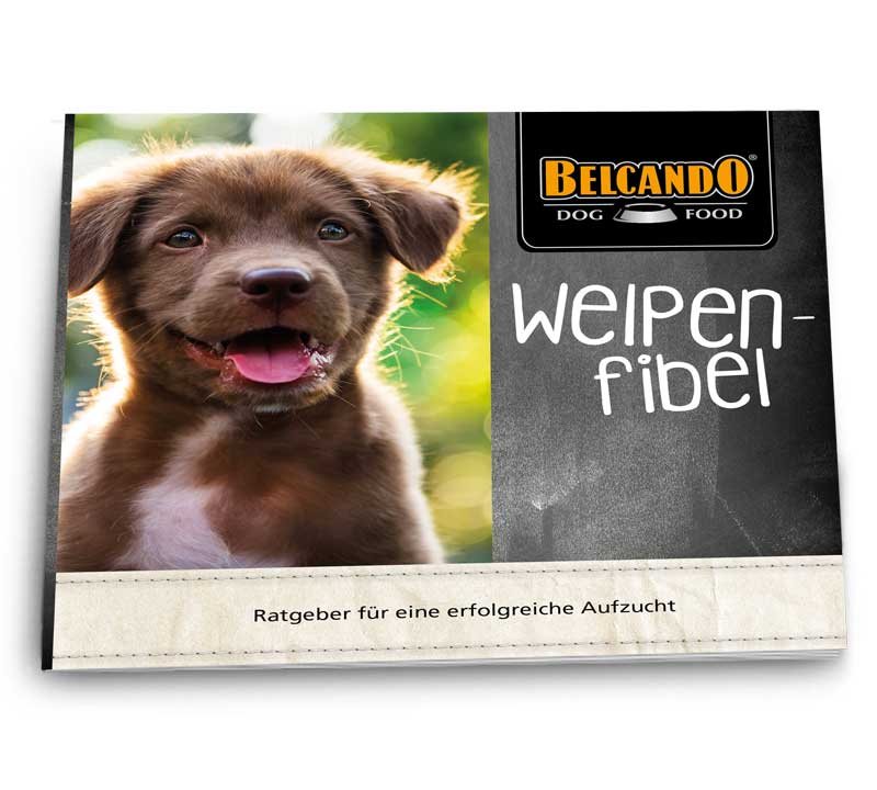 WELPENFIBEL