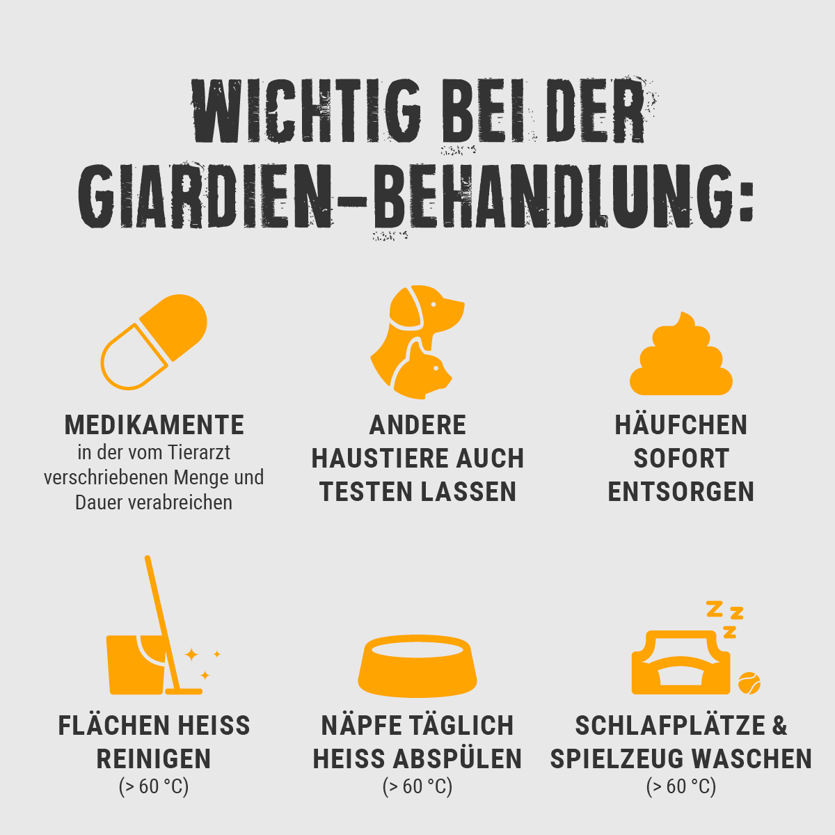 Giardien beim Hund erkennen | Pfotentipps BELCANDO®