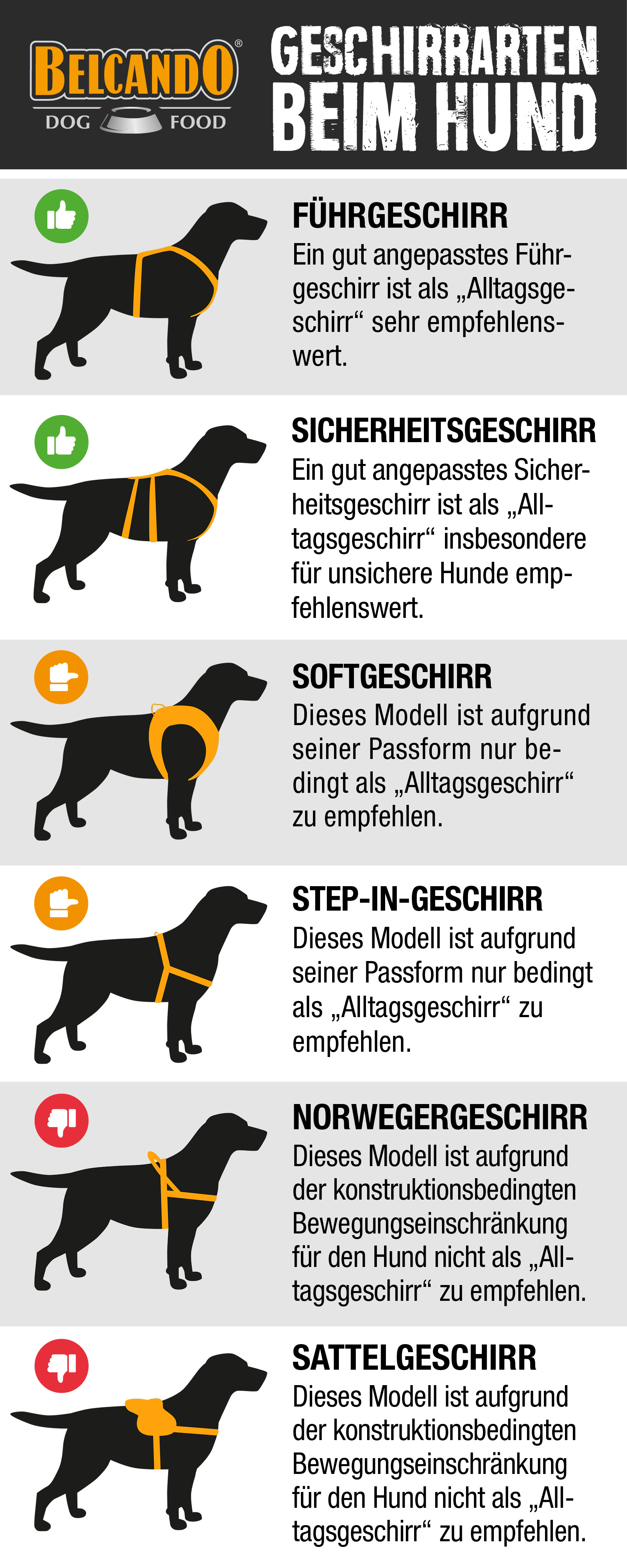 At placere metan enestående Halsband oder Geschirr – was passt für deinen Hund | BELCANDO® Pfotentipps