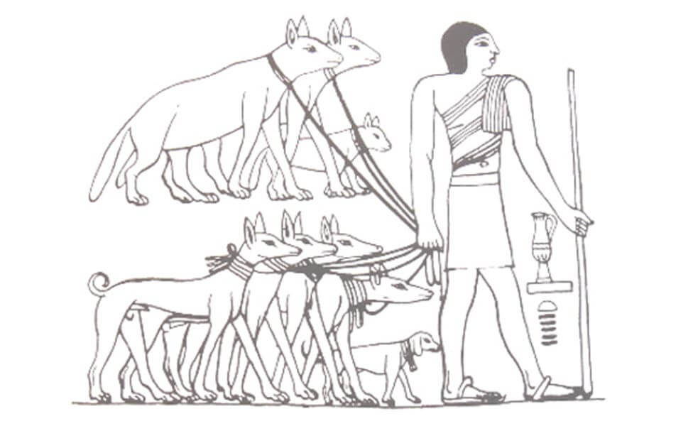 hundeleinen im alten ägypten