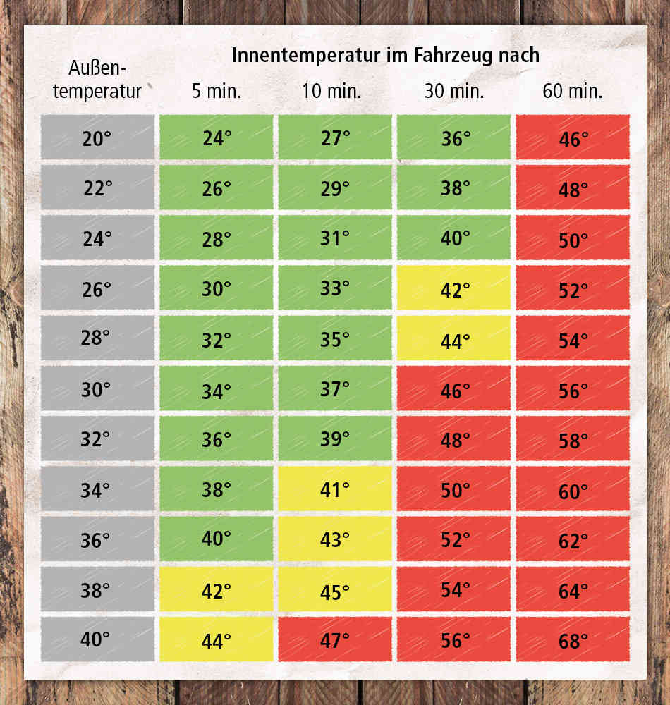 Hitze- & Sonnenschutz im Auto: Auto-Zubehör für Sommertage